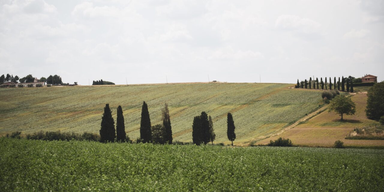 IL TRASIMENO: ACCOGLIENZA AL TOP, ARTE, STORIA E UNA DELIZIOSA ENOGASTRONOMIA