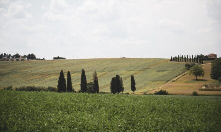 IL TRASIMENO: ACCOGLIENZA AL TOP, ARTE, STORIA E UNA DELIZIOSA ENOGASTRONOMIA